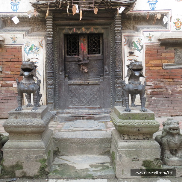 photo 1022591