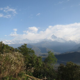 photo 1028206