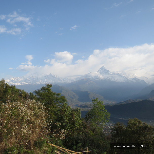 photo 1028206