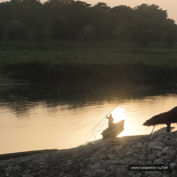 photo 1028223