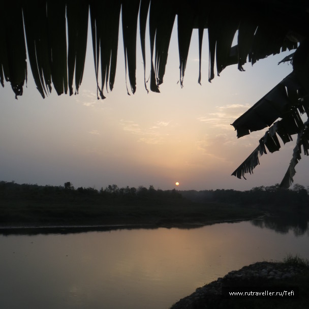 photo 1028224