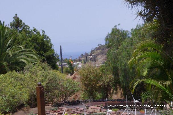 photo 136478