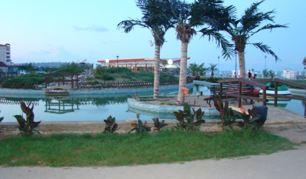 DSC04600