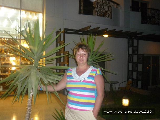 photo 206981