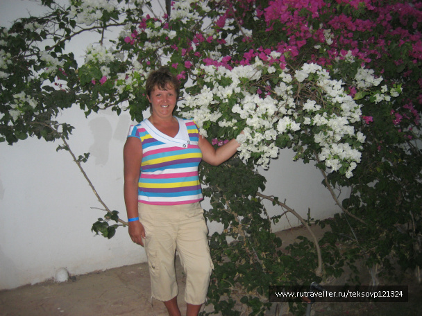 photo 206995