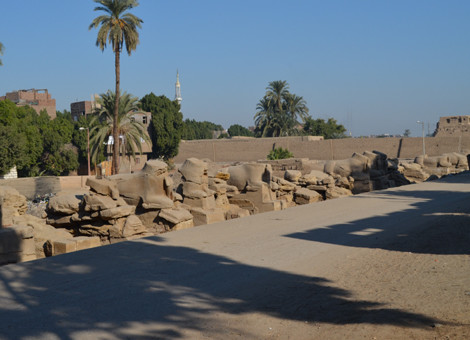 left-sphinx-avenue-at-karnak