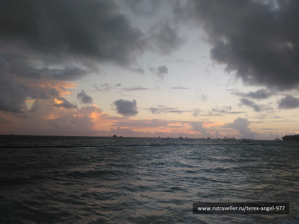photo 1456980