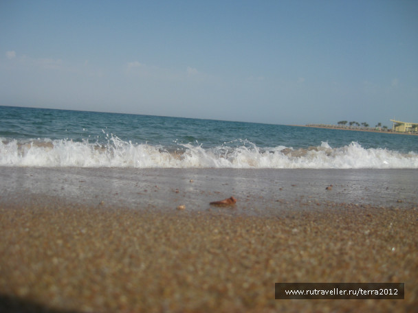 photo 202671