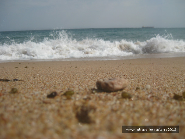 photo 202672