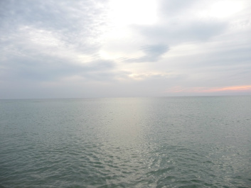 photo 62606