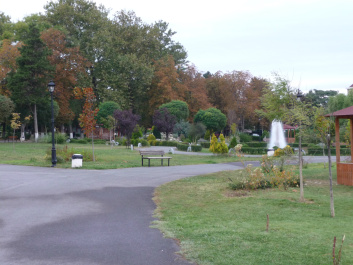 photo 62607