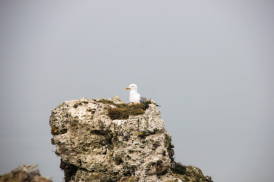 photo 1757404