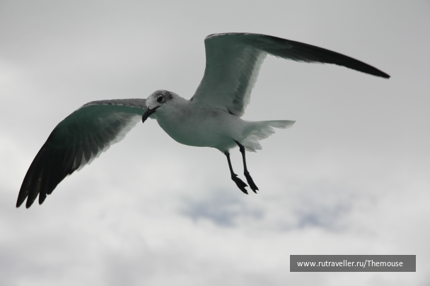 photo 908175