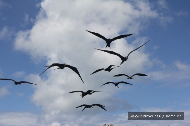 photo 908184