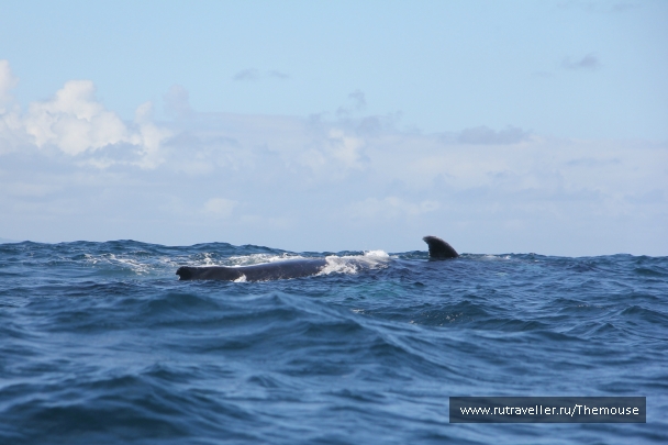 photo 908222