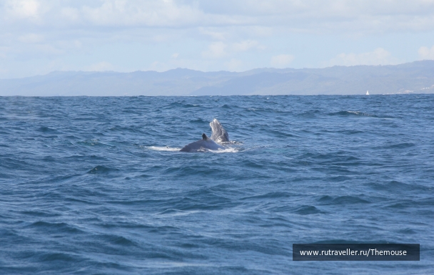 photo 908224