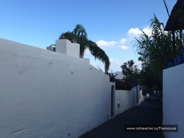 photo 908372