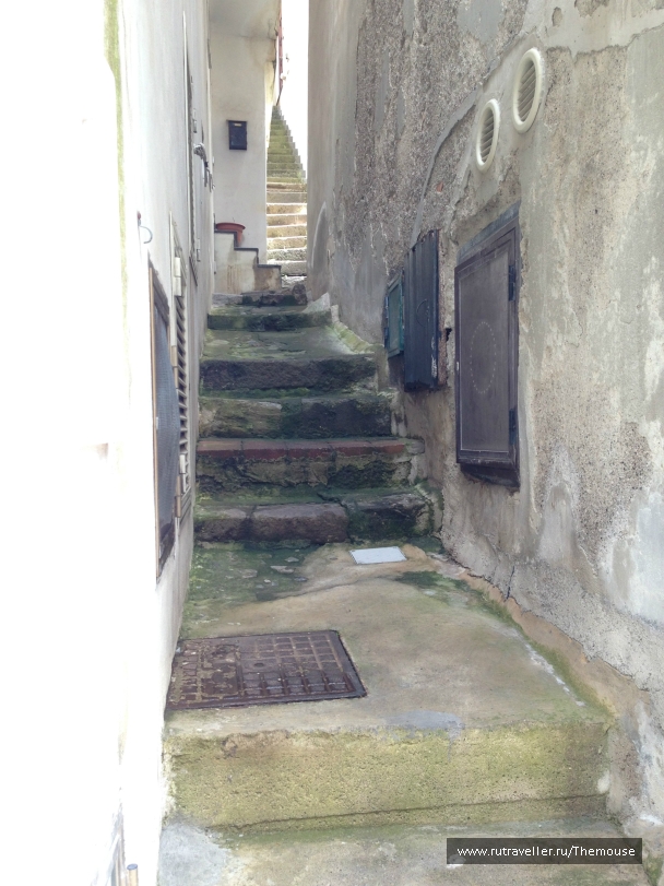 photo 908388