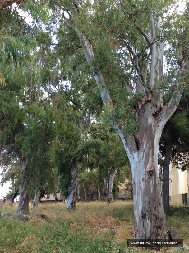 photo 908395