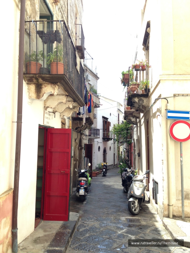 photo 908417