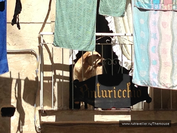 photo 908493