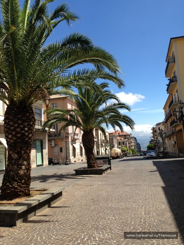 photo 908514