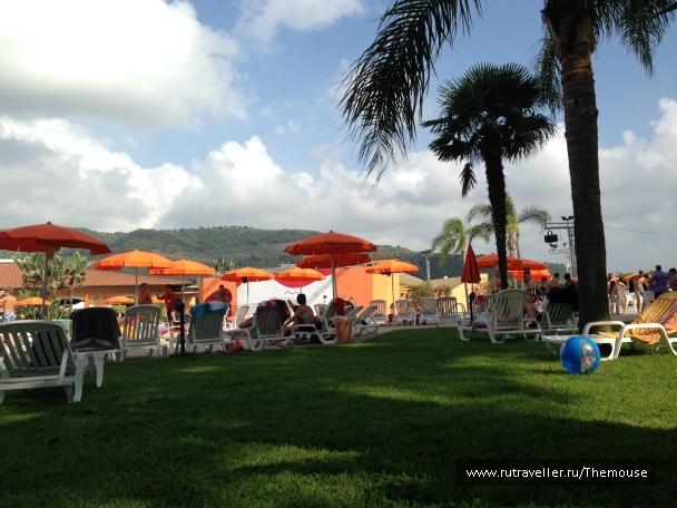photo 908526