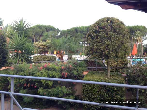 photo 908533