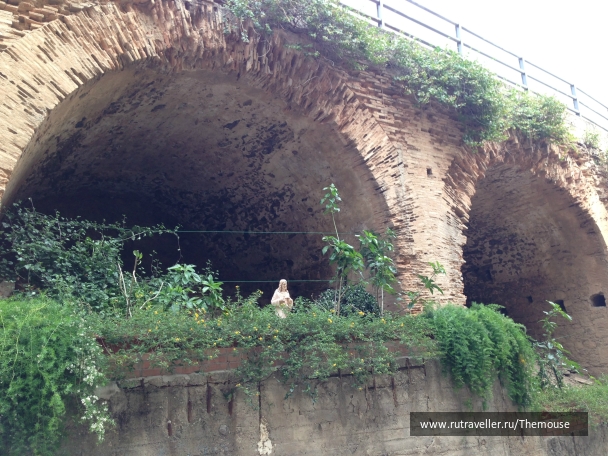 photo 908548