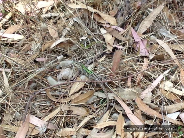 photo 908583