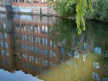 photo 1328088