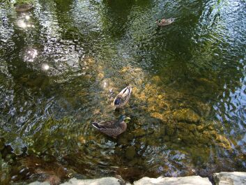 photo 1328122