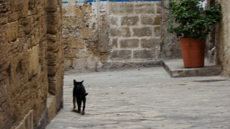 photo 1328491