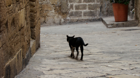 photo 1328492