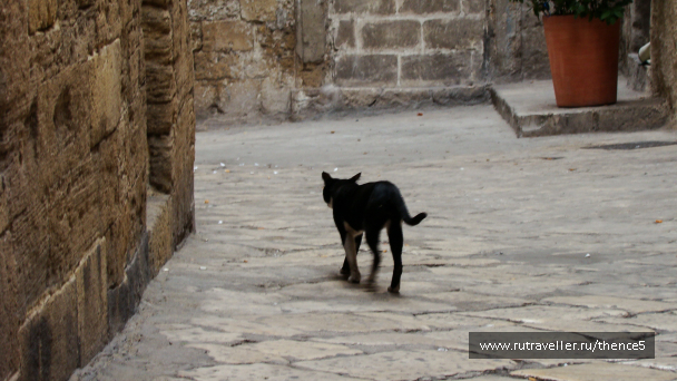 photo 1328492