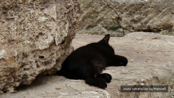 photo 1328512