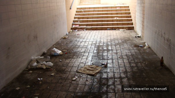 photo 1328513