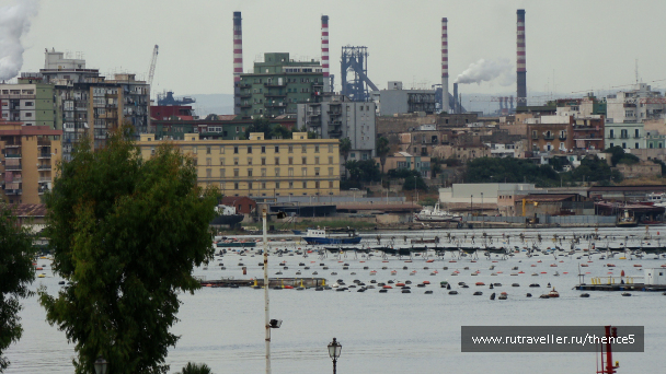 photo 1328516