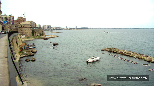 photo 1328599