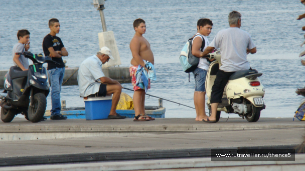 photo 1328718
