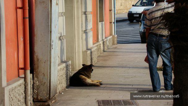 photo 1328728