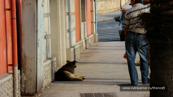 photo 1328729