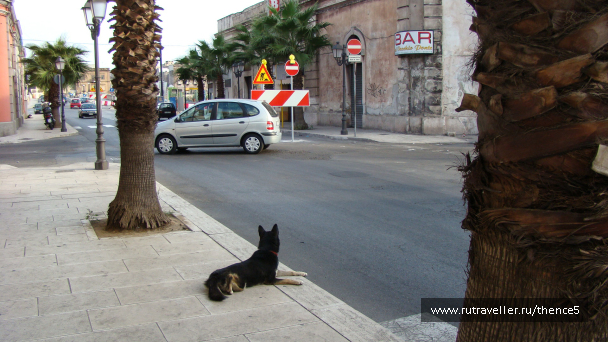 photo 1328730