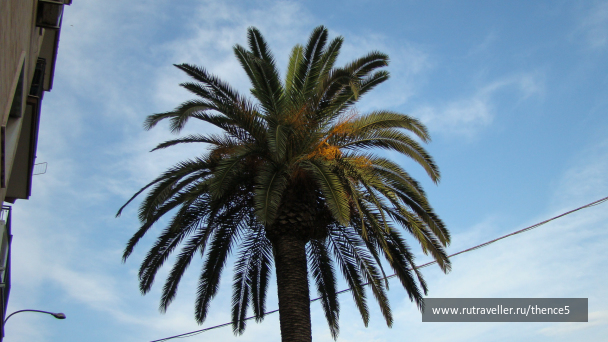 photo 1328734
