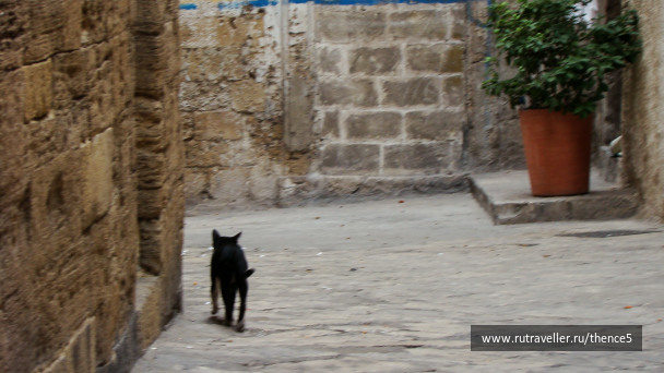 photo 1328763