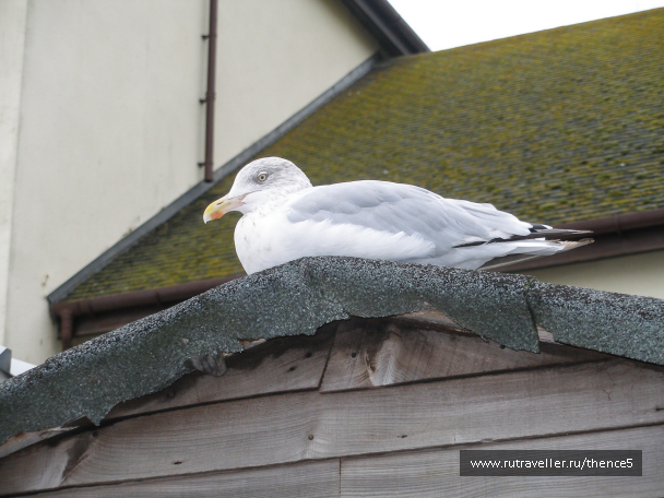 photo 1330423