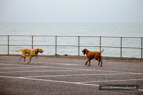 photo 1330431