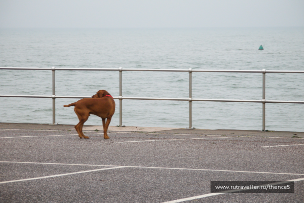 photo 1330432