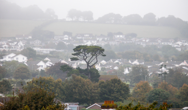 UK Teignmouth 046