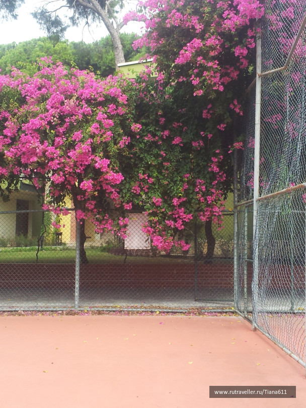 photo 38152
